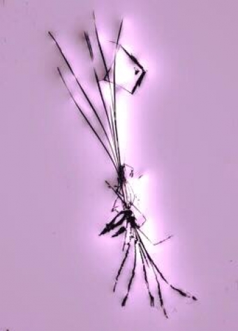 Aborigines Cave Drawing